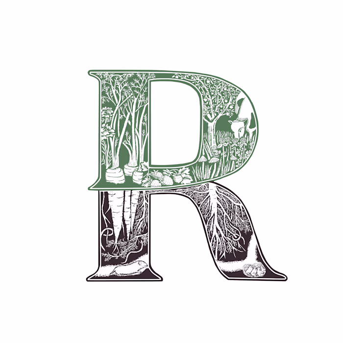 Branding & Logo Design: Davis Regenerative Landscape Design