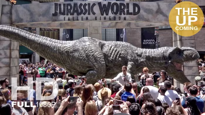 Amazon Prime Video - Campaign Activation