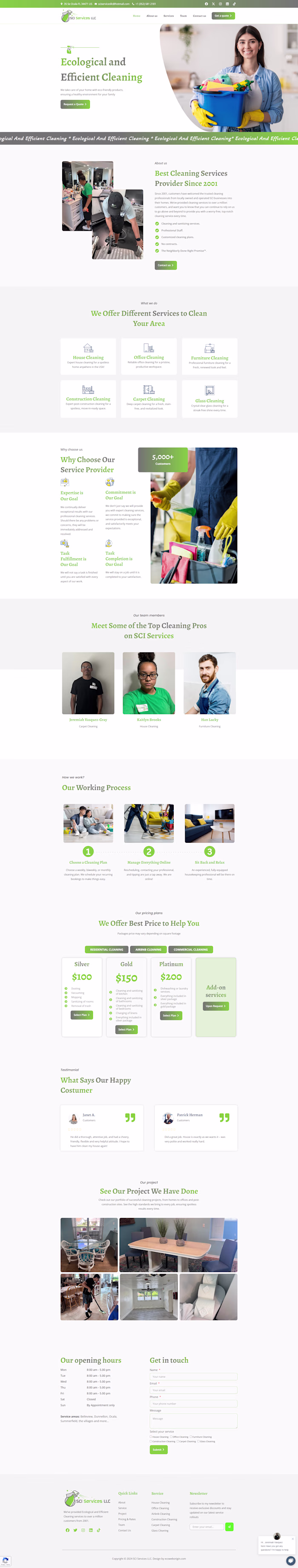 Cleaning Website Designs