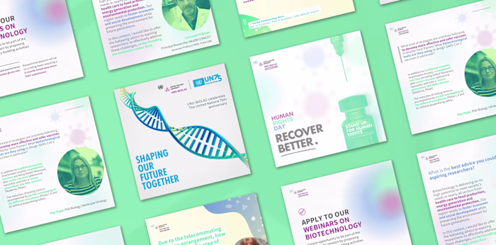 
The United Nations University 
— BIOLAC