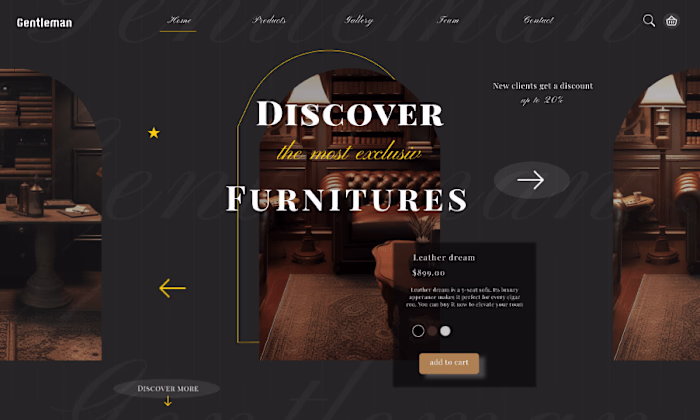 Case study for a luxury furniture company