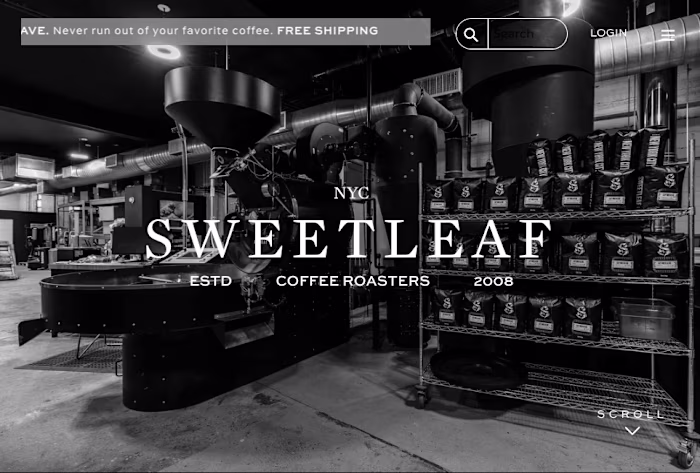 Web Revamp and Brand Strategy Development