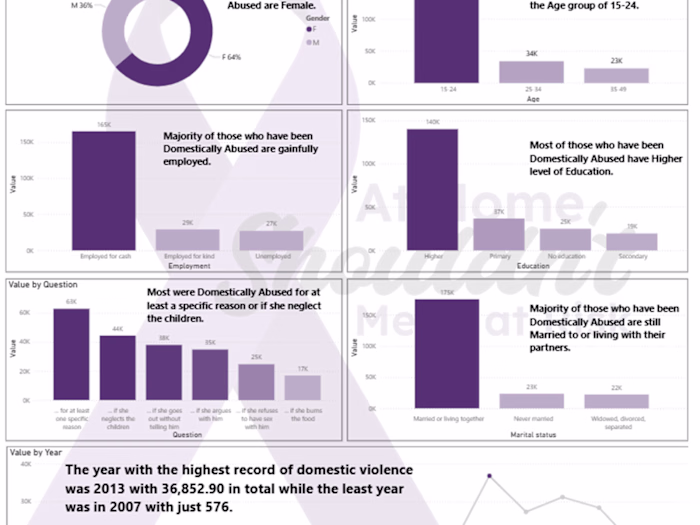 Domestic Violence Report 