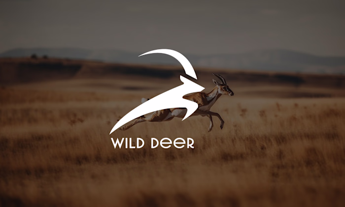 Minimalist logo design :: Behance