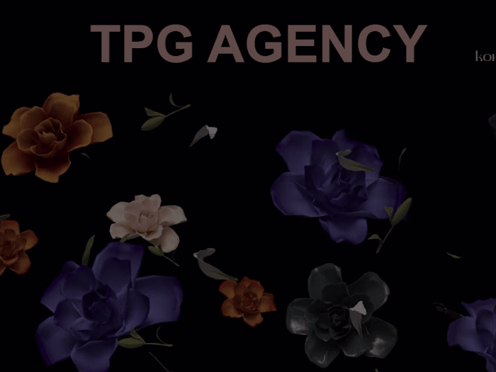 UX/UI website designer