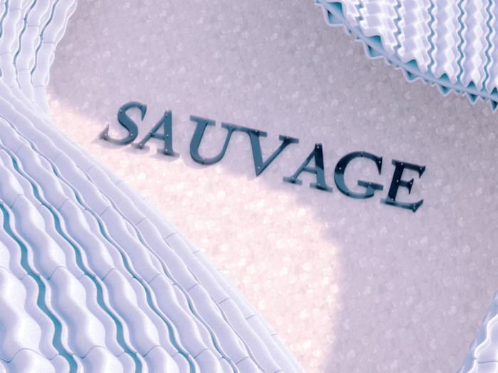 Dior CGI Video | 3D Animation