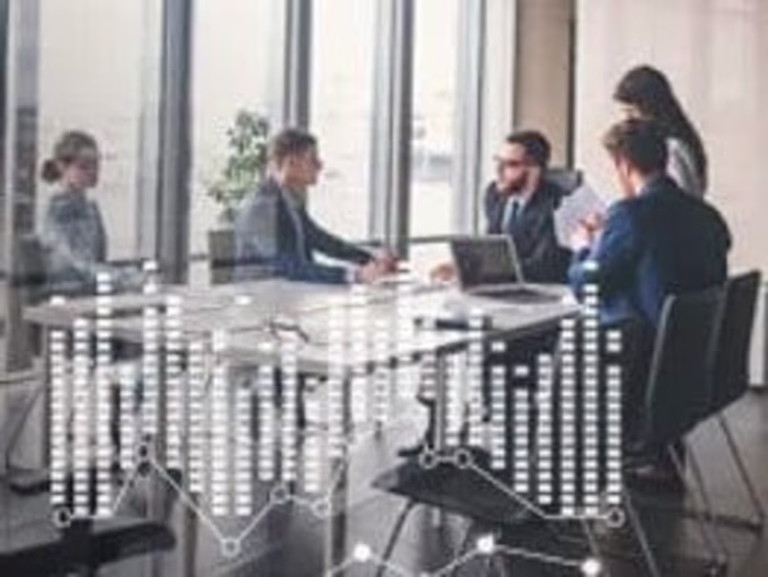 BI Consulting for a Diversified Company with 30+ Businesses