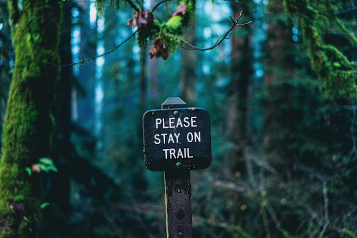 Walking in the Light