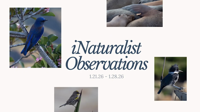 Founder's Journal: Weekly Wildlife Documentation Series