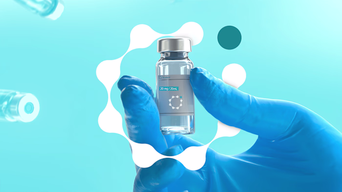 Illudent Brand Identity