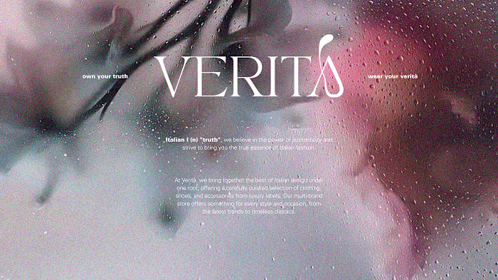 Multi-brand e-commerce online store: Branding, Website