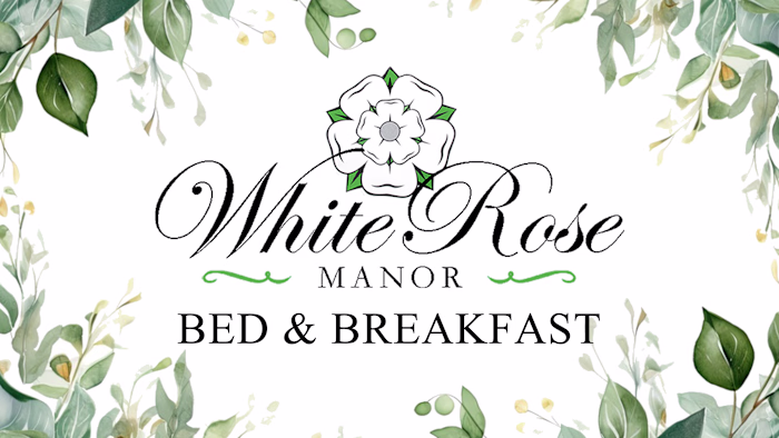 Website Build // Brand Refresh