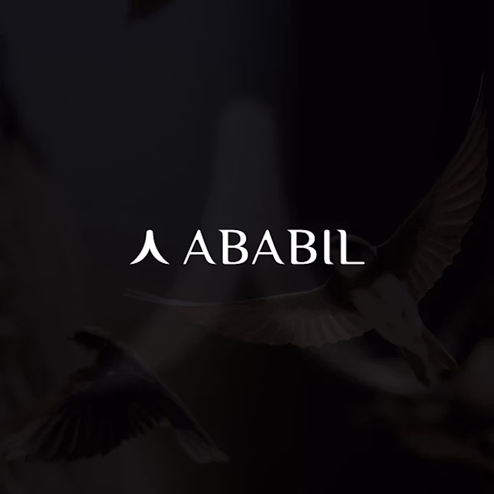 Brand Identity / Logo Design