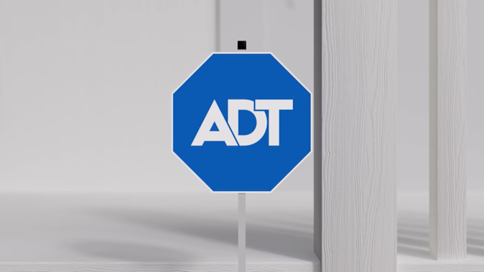 ADT Google M1-5 Sizzle