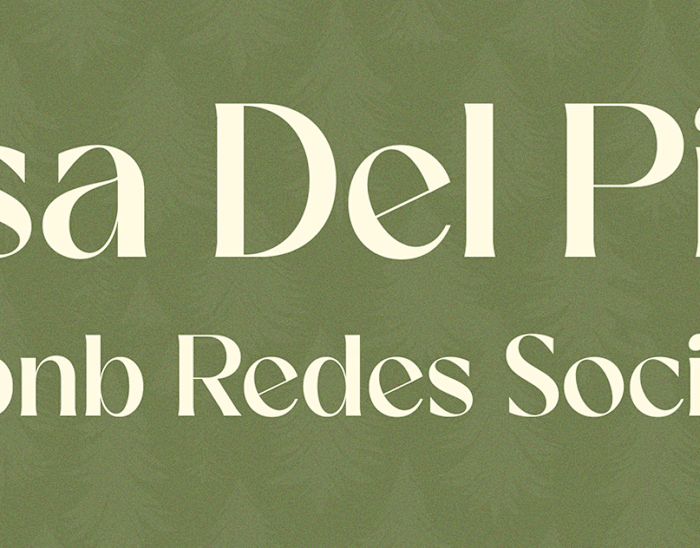 Airbnb Redes Sociales :: Behance