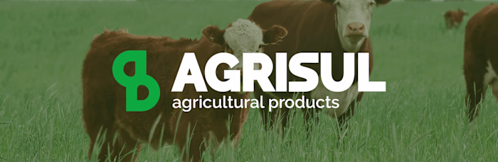 Strategic Logo Design for Start-Up