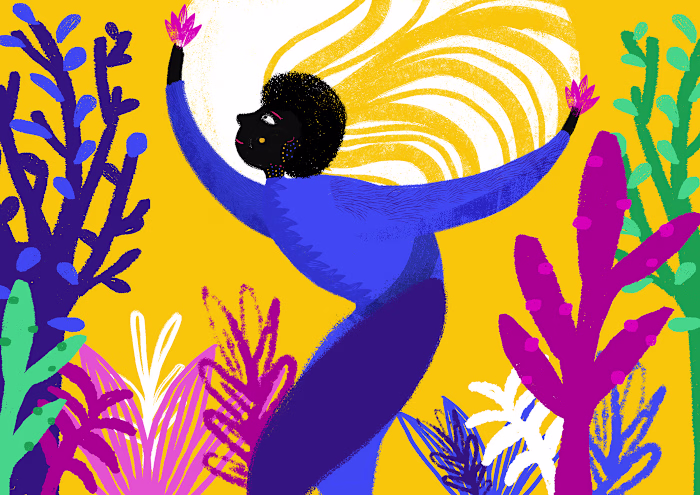 Product Illustration