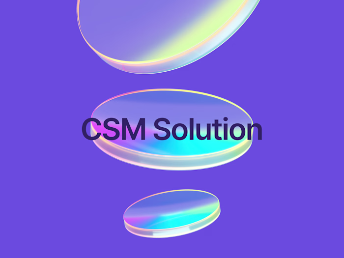 Crafting an internal CSM solution to assist growth
