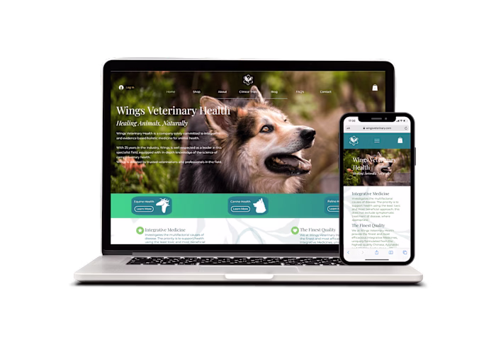 Brand Creation & Web Design/Development