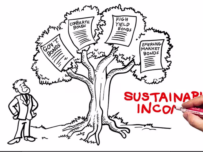 Whiteboard Animations