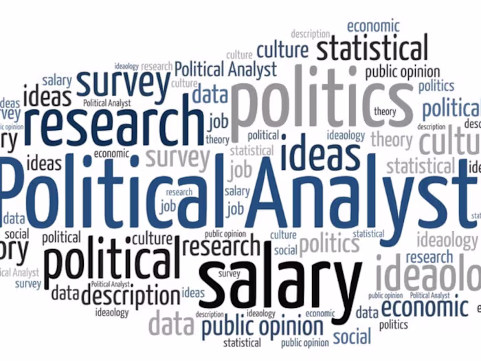 political analyst
