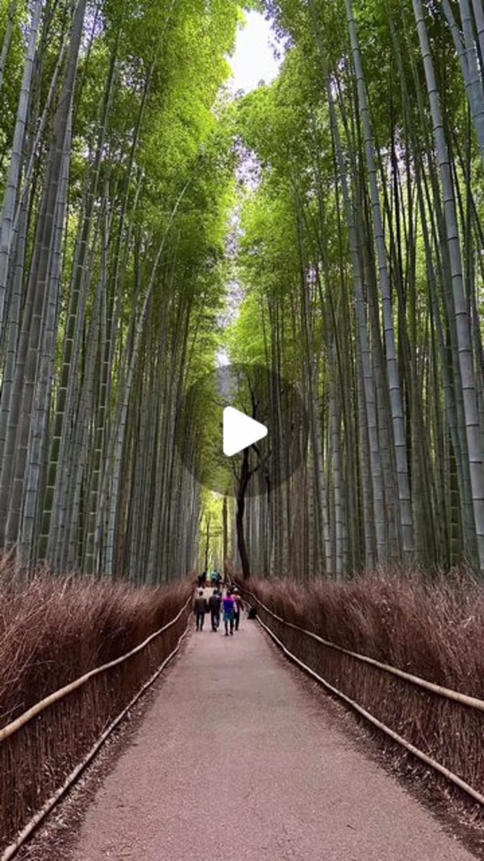 Hristo Georgiev on Instagram: “Imagine walking into a living pa…
