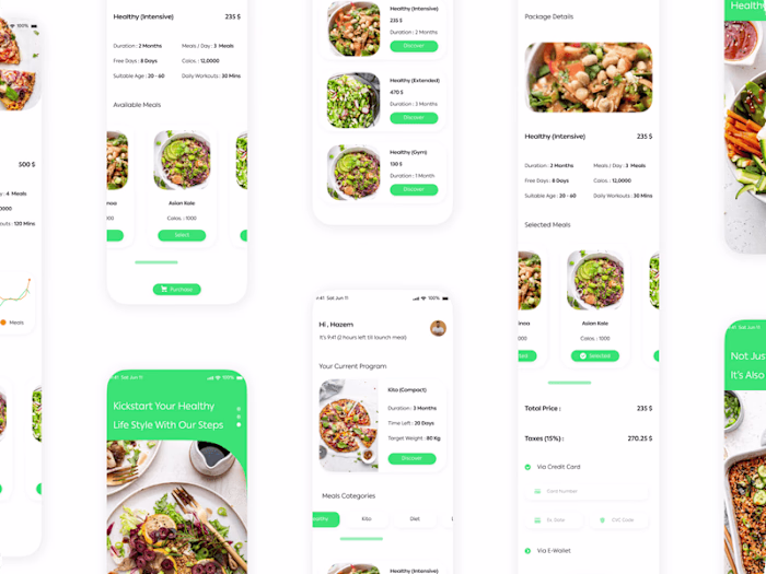 Healthy And Dietary Programs Journey (Mobile App)