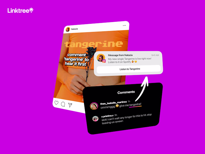 Instagram Auto-Reply for Linktree