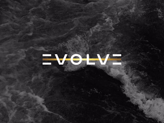 Brand Identity EVOLVE