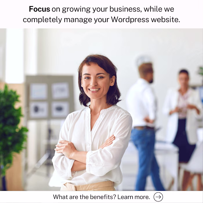 🔥HIGH-CONVERTING ADS For My Wordpress Website Management Firm