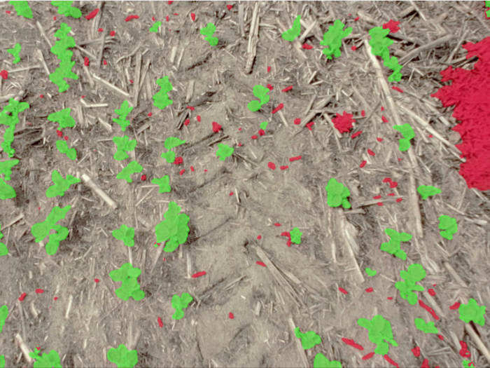 Crop/Weed Image Segmentation and Analysis (2022)
