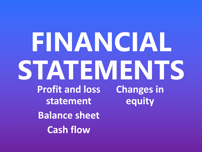 Prepare financial statements : profit and loss, income statement