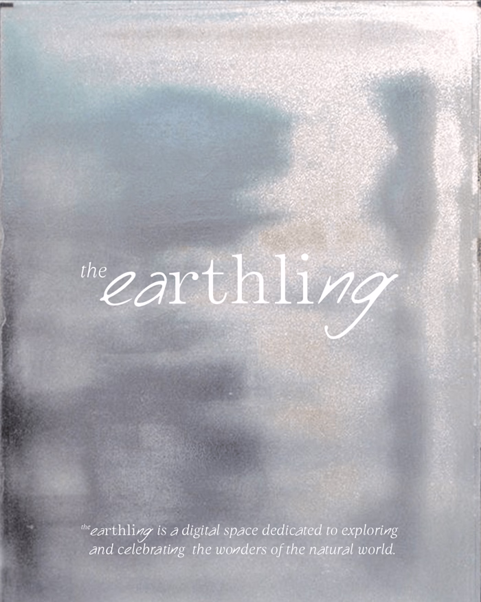The Earthling - Mini Branding