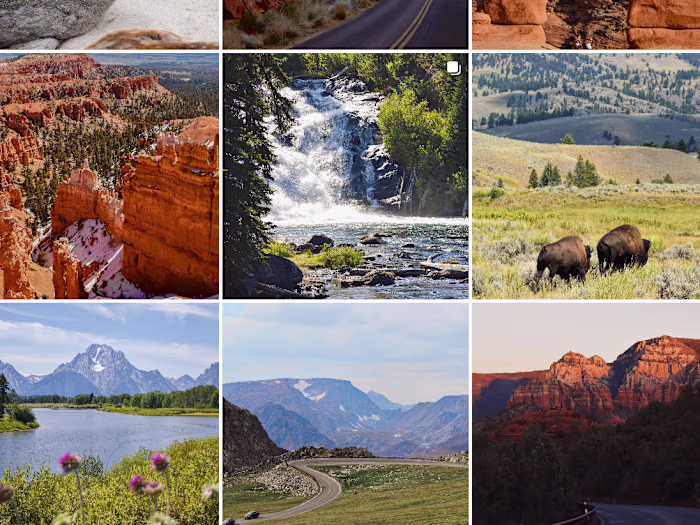 Photo Editing/Photography