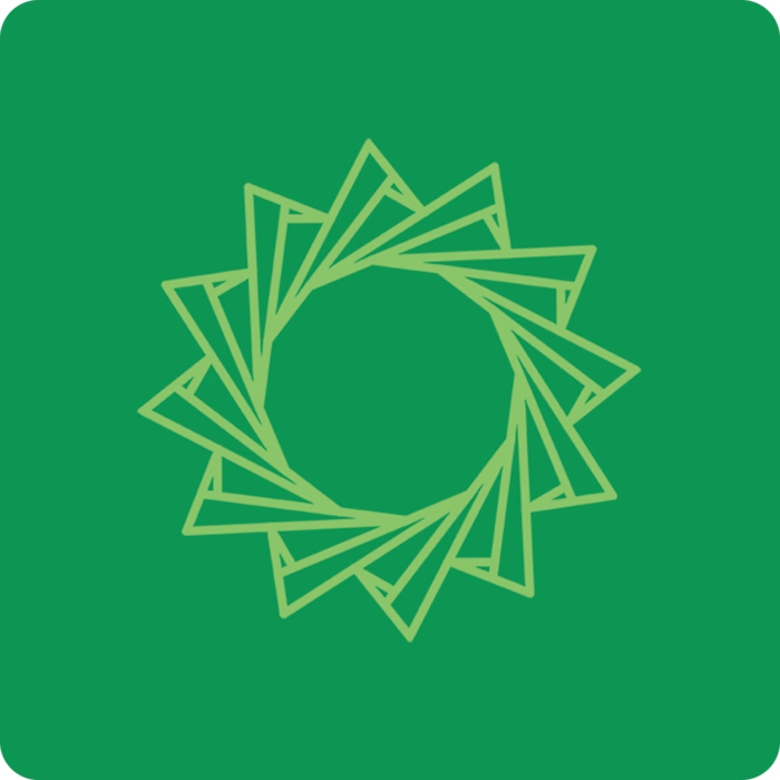 Opay Logo and Brand Identity Concept