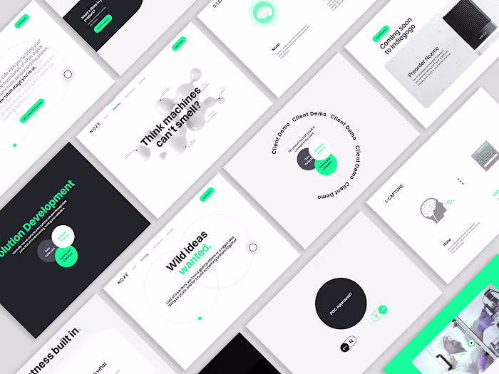 Noze Website Design & Development in Webflow