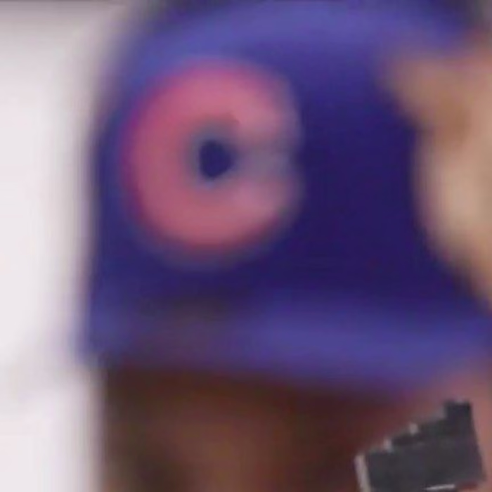 Counterpoint on Instagram: “We shut NBAcon down! Bringing the U…