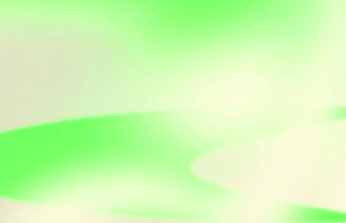 Operations Management & Workflow Optimization