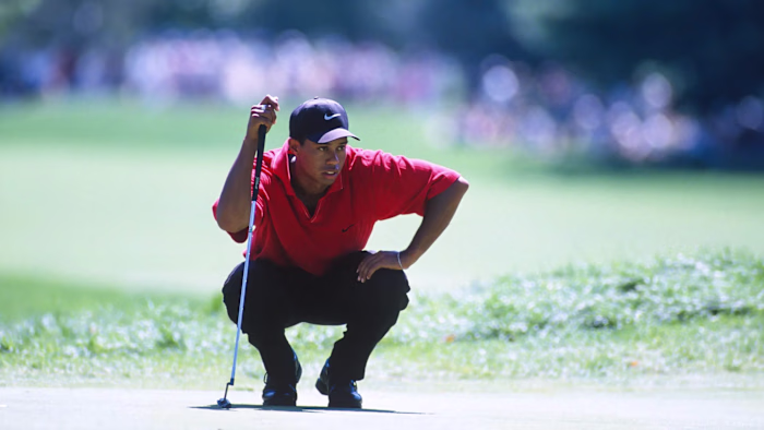 Crafting Dynamic Online Experiences for Nike Golf