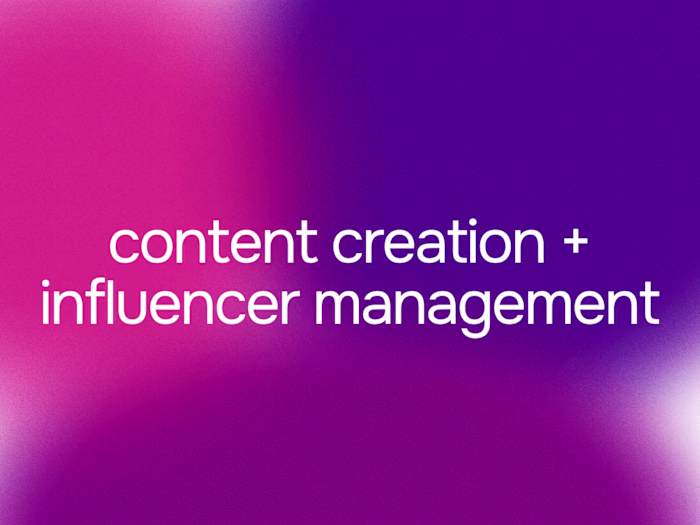 influencer management: D5 Render