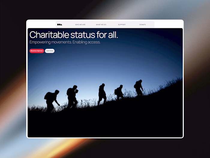 Website Design for a Charity Driving Funding