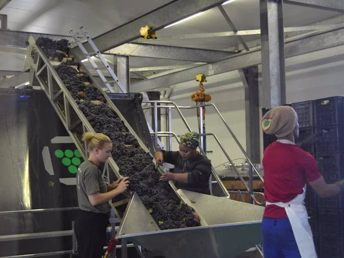 Site visit & Review of wine estate