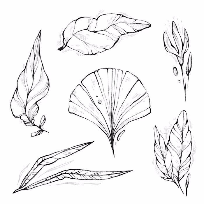 black and white floral tattoo designs🌿