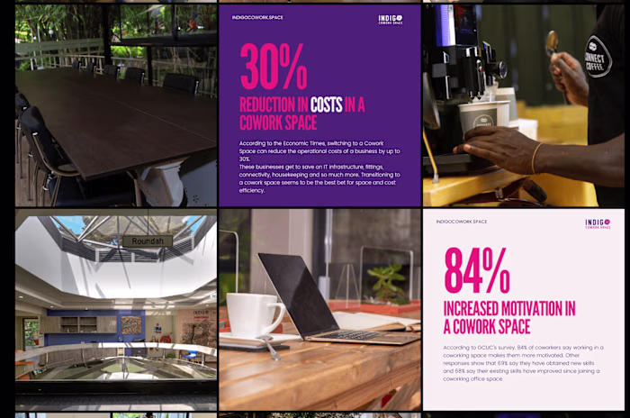 Indigo: Brand Development