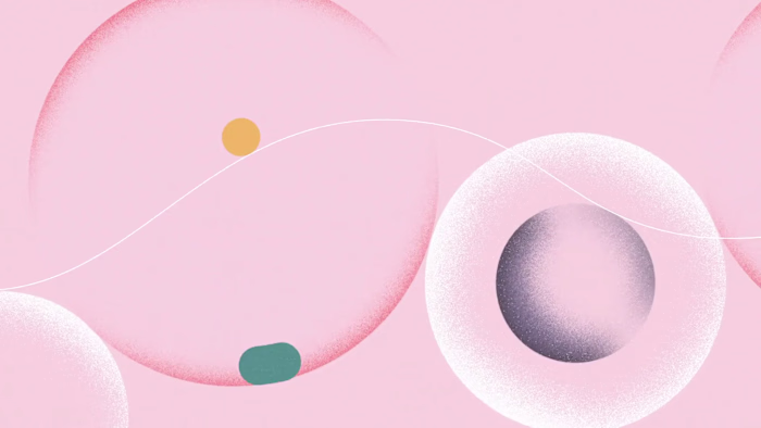 Elastico: A Love Story