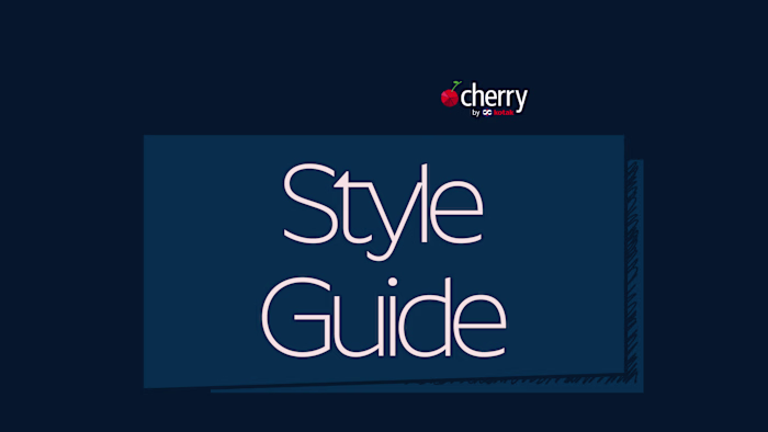 Kotak Mahindra Brand Guidelines