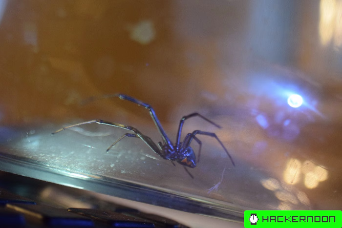 Block Websites With this Simple Magic Spell—dnsmasq