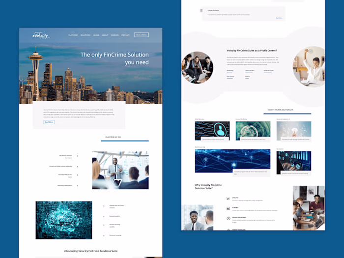 Alacer Group Website Design
