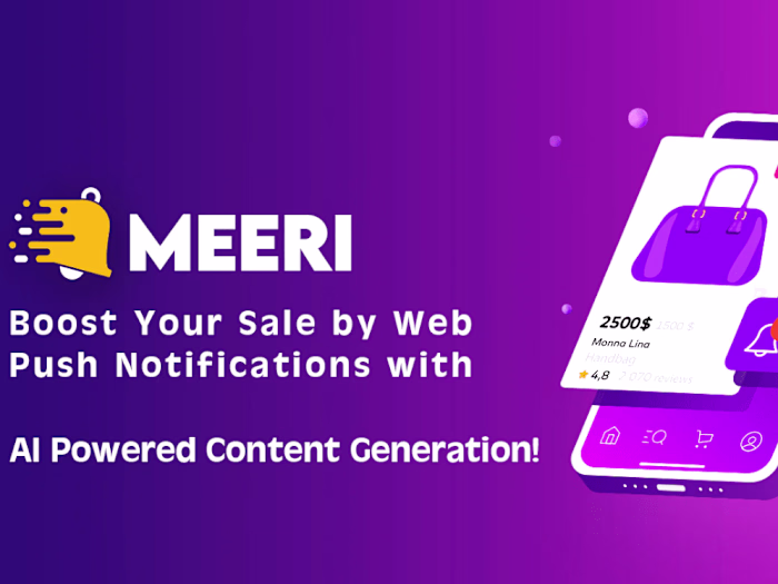 Shopify App Meeri: Push Notifications