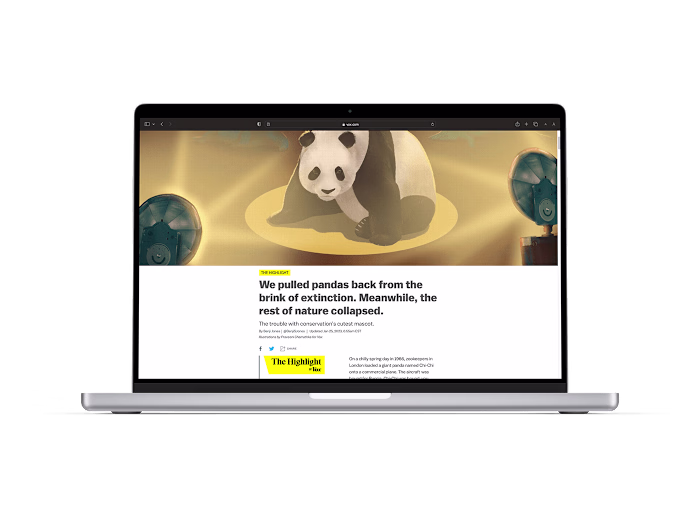 Editorial illustration for Vox media